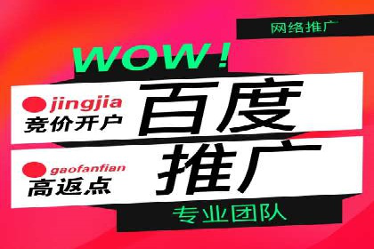 成功企业的SEM竞价优化经验与启示